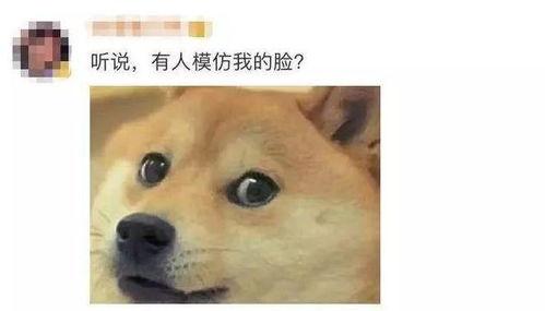 微信吃瓜表情包的使用场景是什么,揭秘社交圈中的“围观”文化现象