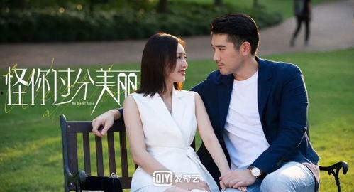 娱乐圈cp小说吃瓜文