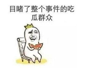 吃瓜事件,揭秘娱乐圈背后的真相与争议