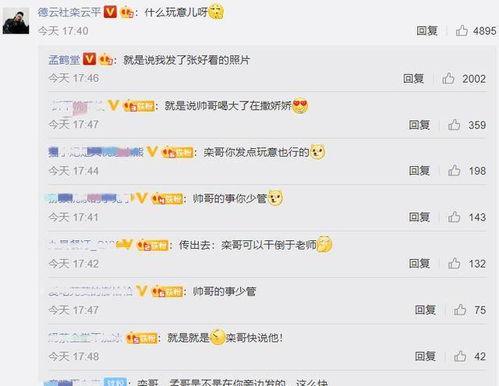 娱乐吃瓜君评论区临沂,娱乐吃瓜君的瓜田盛宴